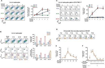 Granulocyte Macrophage-Colony Stimulating Factor Produces a Splenic Subset of Monocyte-Derived Dendritic Cells That Efficiently Polarize T Helper Type 2 Cells in Response to Blood-Borne Antigen